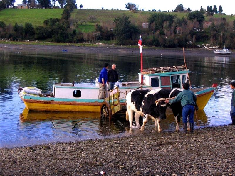 Provincia de Llanquihue