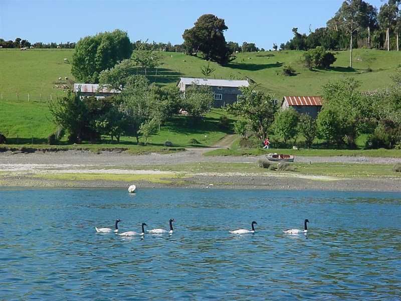 Provincia de Llanquihue